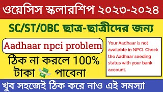 Aadhar npci not available 20232024 Oasis scholarship npci problem solvedpayment problem for npci [upl. by Ynna]