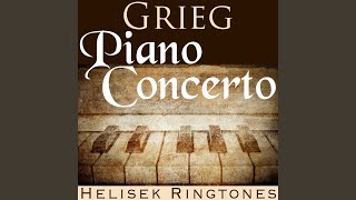 Grieg Piano Concerto in A minor Op 16 Edvard Grieg [upl. by Clayson319]