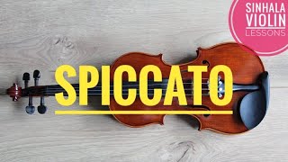 Spiccato  Sinhala Violin Lessons  Violin Techniques Sinhala  Spiccato bowing violin [upl. by Stacie936]