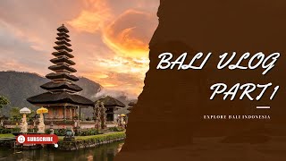 Bali Vlog Part 1 Ubud  2024 Travel Guide  ബാലി യാത്രാ വ്ലോഗ് ഭാഗം 1 [upl. by Einehpets]