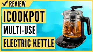 ICOOKPOT MultiUse Electric Kettle Review [upl. by Eira]