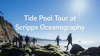 Tide Pool Tour at Scripps Oceanography [upl. by Annyl88]