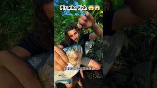 Piranha bites stick 😱😱 ytshorts fishing piranha [upl. by Ellette]