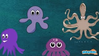 Octopus  Fun Fact Series EP14  Mocomi Kids [upl. by Mapel546]