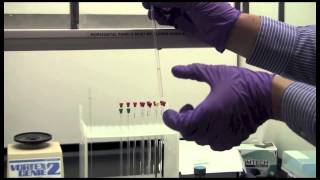 Basic NMR Sample Preparation  Yale CBIC [upl. by Repinuj]