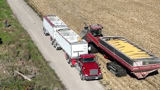 CANADIAN FARMER  BIG GUNS  HUGE Geringhoff 16 row corn head on a MONSTER Claas Lexion 8700 combine [upl. by Eseeryt]