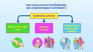 SES 1re  Chapitre 6  Comment la socialisation contribuetelle à expliquer les différences [upl. by Nahtanohj483]