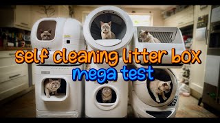 Self Cleaning Litter Box Mega Test LITTERROBOT 4 REVIEW [upl. by Thoer287]