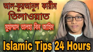 Quran Recitation  Pobitra Quraner Alo 2020  Talha Bin Jahid  Islamic Tips 24 Hours [upl. by Avle]