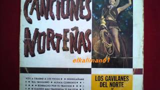 LOS GAVILANES DEL NORTE  DESOLACION 2wmv [upl. by Aisel]