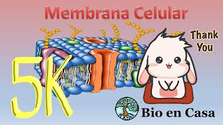 TODO sobre Membrana celular [upl. by Sivraj]