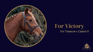 13 For Victory For Treasure x Cassini II stallion 2021 [upl. by Jedidiah]