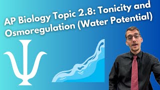 28 Tonicity and Osmoregulation Part II Water Potential  AP Biology [upl. by Sueaddaht]