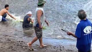 The day the sea turned into Akule in Leone American Samoa 5 Sep 2023 [upl. by Bertine313]