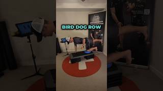 EMS Training  Bird Dog Row Exercise [upl. by Hsot95]