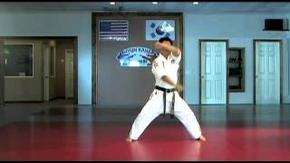 Tae Kwon Do Training Hands Combination 1  White Belt [upl. by Evania]