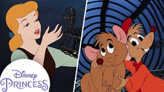 Cinderella Saves Gus  Kids Cartoon  Disney Princess [upl. by Aytac]