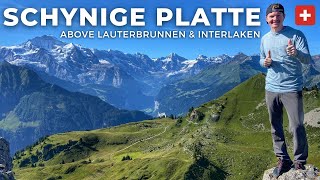 Guide to Schynige Platte  Alphorns Edelweiss Swiss Food amp Hiking near Grindelwald amp Interlaken [upl. by Pride]