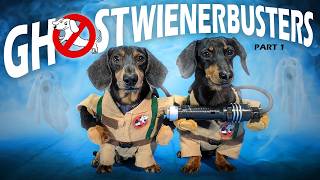 Ep 4 GHOSTWIENERBUSTERS  Funny amp Spooky Dog Video for Halloween [upl. by Rocco818]