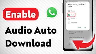 How To Enable Audio AutoDownload on WhatsApp Updated [upl. by Landers223]