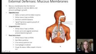 Lecture 19 Immune System [upl. by Azral665]