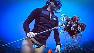 Spearfishing Catch amp Cook Deadly Venomous Fish [upl. by Khosrow278]