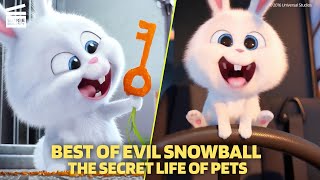 Best of Evil Snowball  The Secret Life of Pets  Cartoon For Kids [upl. by Hobart91]