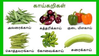 காய் காய் காய்கறிகள்  Learn vegetables names in Tamil for kids and children  Tamilarasi [upl. by Sucramad847]