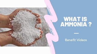 What Is Ammonia [upl. by Ahsik597]