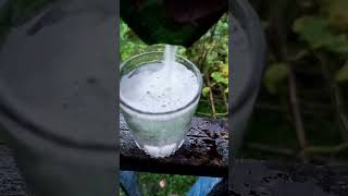 Crazy experiment with milk ❤️ experiment science scienceexperiment water facts consentgamer [upl. by Novrej]