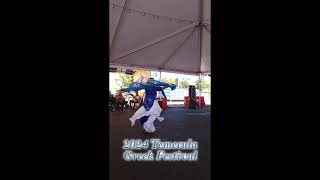 2024 Temecula Greek Festival  Misirlou Played by Synthesi [upl. by Ttirrem778]