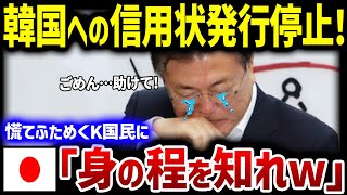 【海外の反応】日本「韓国はいい加減立場をわきまえた方がいい」ついに日本が韓国への信用状の発行停止を決断！その結果とは…？ 【韓国の反応】 [upl. by Justine]