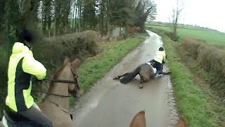 Spooked Horse Falls Across Road [upl. by Mahda]