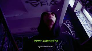 Ureche muzicala  Buna dimineata 🌞 Official Video [upl. by Asim]