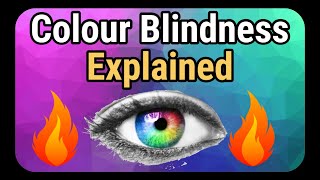 Color blindness explained  How it is caused [upl. by Kcajyllib]