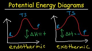 Potential Energy Diagrams  Chemistry  Catalyst Endothermic amp Exothermic Reactions [upl. by Leva725]