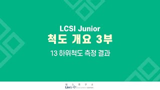 LCSI Junior 검사 A3 척도 개요3부13 하위척도 측정 결과 [upl. by Casabonne]