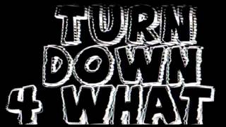 DJ Snake amp Lil Jon  Turn Down for What Slowed [upl. by Aggri]