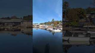 Port Carling Harbour Front [upl. by Ahsekel]