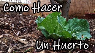 ¿Como Hacer un Huerto desde Cero Explicado Paso a Paso [upl. by Cordell]