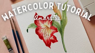 Festive Amaryllis Watercolor Painting real time tutorial [upl. by Aner567]