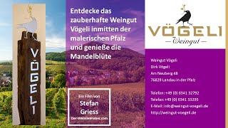 Entdecke das zauberhafte Weingut Vögeli inmitten der malerischen Pfalz und genieße die Mandelblüte [upl. by Gleason]