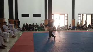 Juara 1 O2SN SD Pencak Silat KabPurwakarta Kategori Jurus Tunggal Putra  Rasyid [upl. by Loren]