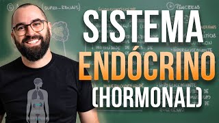 Sistema Endócrino HORMONAL  Aula 32  Módulo 7 Fisiologia Humana [upl. by Clemen]