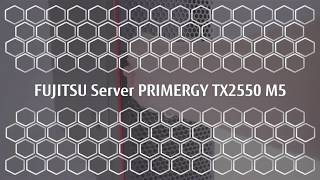 PRIMERGY TX2550 M5 Fujitsu [upl. by Aisyla]