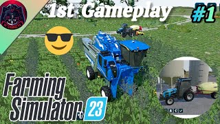 How To Make Fast Money FS23 Olive 🫒 Harvesting 1Farming Simulator Mobile 23fs23farming [upl. by Idnar887]