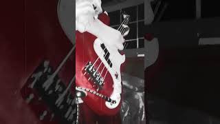 Adolescents  Amoeba  Bass Cover guitar bass basscover coverbajo punk punkrock [upl. by Sokil557]