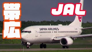 TokachiObihiro Airport Japan Airlines JA347J Boeing 737 Takeoff [upl. by Marie420]