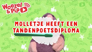 Molletje heeft zijn tandenpoetsdiploma gekregen🏆✨ [upl. by Eirak59]