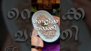 ഇങ്ങനെയൊന്ന് ചമ്മന്തി അരച്ചുനോക്കു  Gooseberry Chutney  chutney gooseberry [upl. by Attalanta]